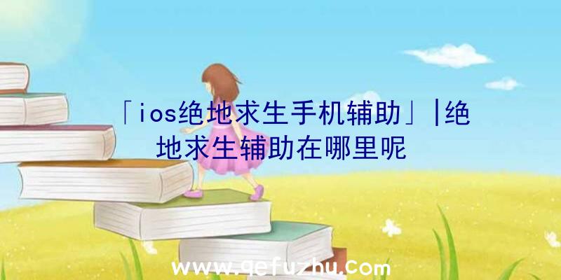 「ios绝地求生手机辅助」|绝地求生辅助在哪里呢